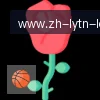 乐鱼体育 logo